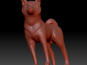 Shiba inu 3Dプリントモデル
