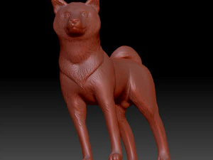 Shiba inu 3D Print Model