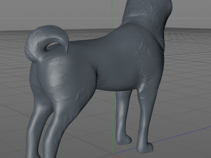 Shiba inu 3Dプリントモデル