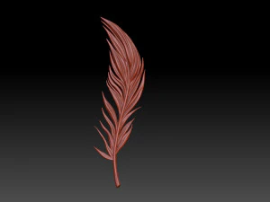 Feather 3D Print Model