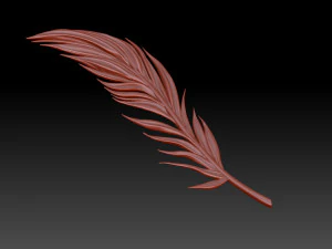 Feather 3D Print Model