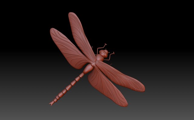 Dragonfly 3D-printmodel .c4d .max .obj .3ds .fbx .stl .blend 