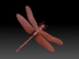 잠자리 3D 프린트 모델