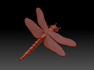 Dragonfly 3D Print Model
