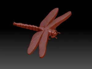 Dragonfly 3D Print Model