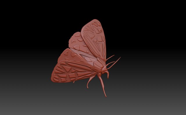 Moth 3D Baskı Modeli .c4d .max .obj .3ds .fbx .stl .blend 