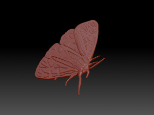 Moth 3D Baskı Modeli