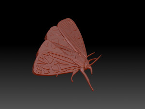 Moth 3D Baskı Modeli