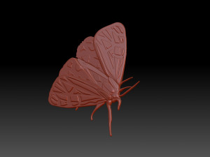 Moth 3D Baskı Modeli