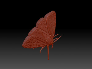 Moth 3D Baskı Modeli