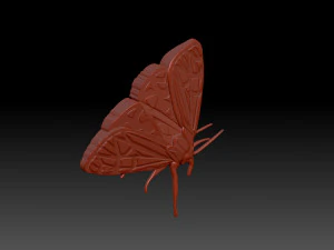 Moth 3D Print Model