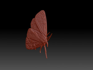 Moth 3D Baskı Modeli