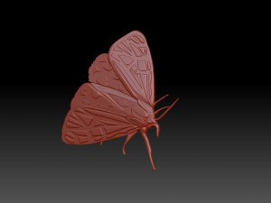 Moth 3D Baskı Modeli
