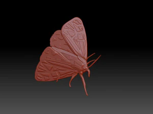 Moth 3D Print Model