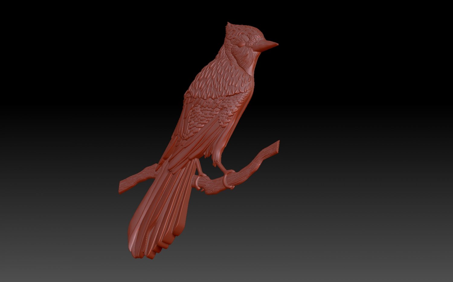 Bird 3d model