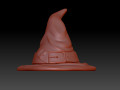 The witchs hat 3D Print Models