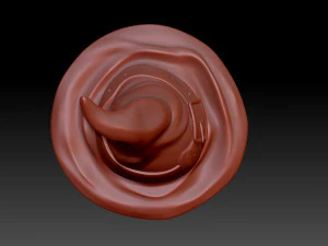 The witchs hat 3D Print Model