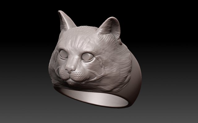 Ring Cat Modello di stampa 3D .c4d .max .obj .3ds .fbx .stl .blend 