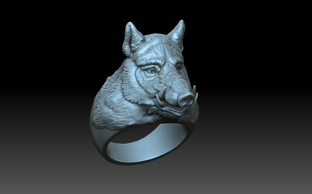 Boar ring outlet