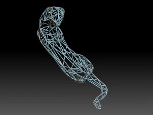Cat 3D Print Model