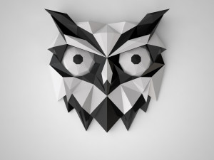 Owls head 3D Print Model