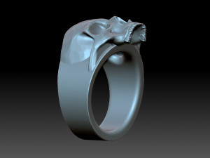 The skull ring Modelo de Impressão 3D