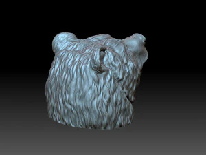 Head Bear 3D Print Model