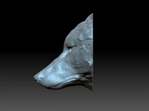 The wolf muzzle 3D Print Model