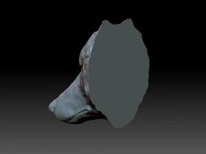 The wolf muzzle 3D Print Model