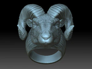 Anello di ariete Modello di stampa 3D