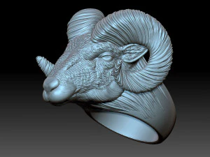 Ram Ring 3D Print Model