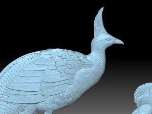 Peacocks 3D Print Model