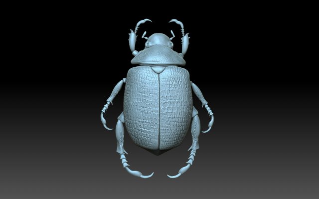 Beatle 3D प्रिंट मॉडल .c4d .max .obj .3ds .fbx .stl .blend