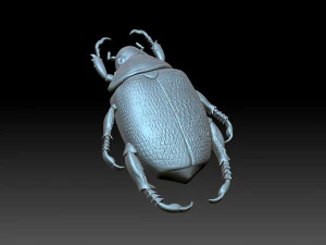 Beatle 3D Print Model