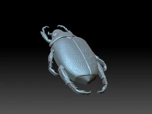 Beatle 3D Print Model