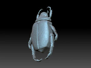 Beatle 3D Print Model