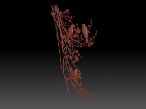Birds Modello di stampa 3D