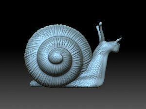Snail 3D Baskı Modeli