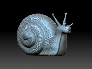 Snail 3D Baskı Modeli
