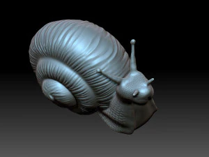 Snail 3D Print Model