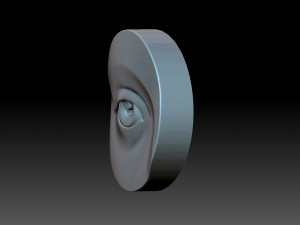 Eye Model do druku 3D
