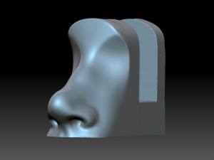 The nose is female Modello di stampa 3D