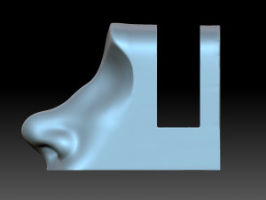 The nose is female Modello di stampa 3D