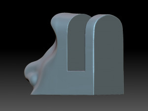 The nose is female Modello di stampa 3D