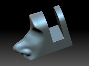 The nose is female Modello di stampa 3D