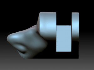 The nose is female Modello di stampa 3D