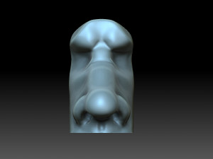 Male nose Modelo de Impressão 3D