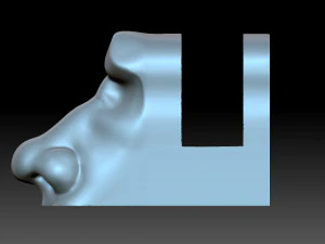 Male nose 3D Print Model