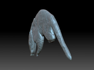 Coati Maia Model do druku 3D