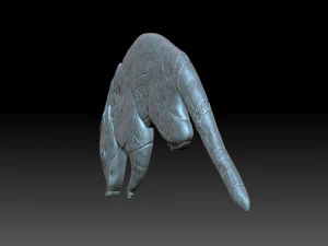 Coati Maia 3D Print Model